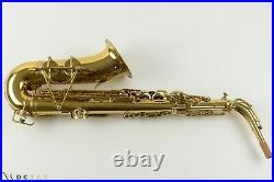 17, xxx Selmer Super Sax Alto Saxophone, Just Serviced, Video