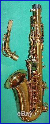ALTO SAXOPHONE Eb+Fa# GOLD LAQUERED NEW ORLEANS FREE DVD REEDS PACKET 10 PCS