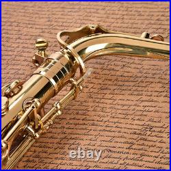 Alto Eb Sax Saxophone Brass Golden Set with Storage Box Mouthpiece Grease