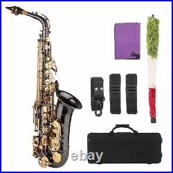 Alto Saxophone Brass Eb Sax Woodwind Instrument with Carry Case Care Kit O9F3