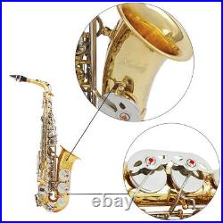 Alto Saxophone Brass Golden Eb Sax Woodwind Instrument with Carry Case Kit C2G0