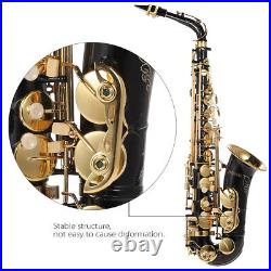 Alto Saxophone Brass Lacquered 82 Eb Eflat Sax & Padded Set O4U8