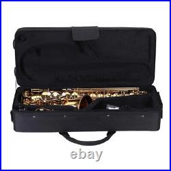 Alto Saxophone Brass Lacquered Eb E-Flat Sax 802 with Padded D7V2