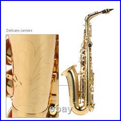 Alto Saxophone Brass Lacquered Gold Eb E Flat Sax 802 Key + Case Care Set H1B0
