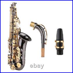 Alto Saxophone Brass Nickel-Plated Eb E-flat Sax with Carry Care Kit T4E9
