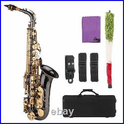 Alto Saxophone Brass Nickel-Plated Eb Sax Woodwind Instrument with Case Set D5P1