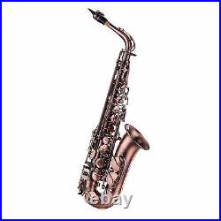 Alto Saxophone Eb Sax Carved Pattern Woodwind Instrument with Carry Case F2P5