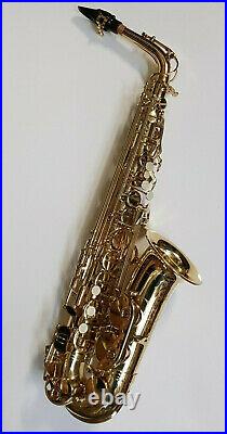 Alto Saxophone Eb Sax Gold Lacquer Intermusic Full Outfit In Hard Case - 9