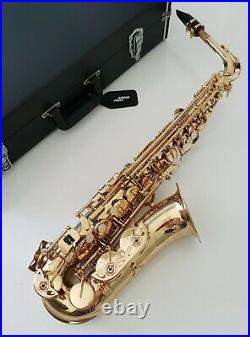 Alto Saxophone Eb Sax in Gold Lacquer with Hard Case- Intermusic Full Outfit -4