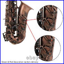 Alto Saxophone Red Bronze Eb Sax Carve Pattern with Case Mouthpiece Reeds I7T8