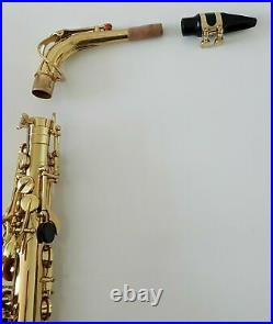Alto Saxophone in Eb Sax in Gold Finish with Hard Case Full Chase Outfit 2