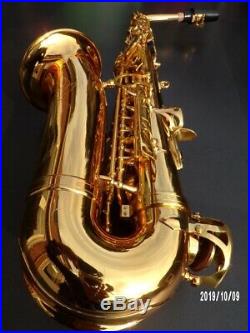 Alto saxophone, saxofoon, sassofono, sax BRAND NEW