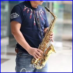 Ammoon Eb Alto Saxophone Brass Lacquered Gold E Flat Sax 802 Key Type Woodwind