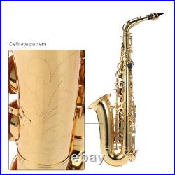 Ammoon Eb Alto Saxophone Brass Lacquered Gold E Flat Sax 802 Key Type Woodwind