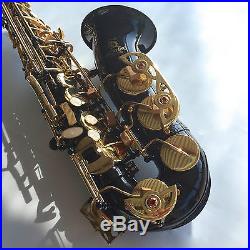 BLACK ALTO SAX BRAND NEW Eb STERLING Saxophone With Case Special
