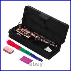 Bent Eb Alto Saxophone E-flat Sax Carved Pattern + Carry & Accessories S9Q5