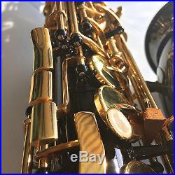 Black Alto Sax Brand New STERLING Eb Saxophone Case and Accessories