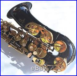 Black Alto Sax STERLING Eb Saxophone Case and Accessories