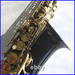 Black Sterling Alto Sax Eb Saxophone BRAND NEW Case FREE EXPRESS POST