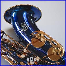 Blue Alto Sax Brand New STERLING Eb Saxophone Case and Accessories