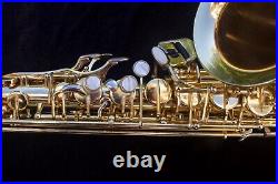 Borgani Classic alto sax