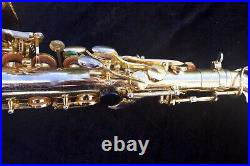 Borgani Classic alto sax
