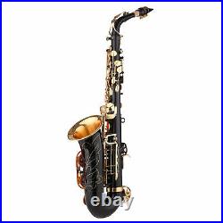 Brass Eb Alto Saxophone Black Paint E-flat Sax Carrying Case For Student D7N5