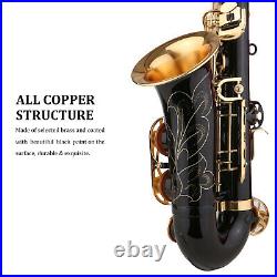 Brass Eb Alto Saxophone Black Paint E-flat Sax + Mouthpiece Carry Case Kit J7K1