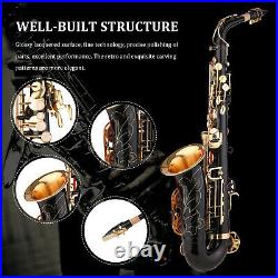 Brass Eb Alto Saxophone Black Paint E-flat Sax with Carry Case Accessories F2W0