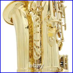 Brass Eb Alto Saxophone Sax Lacquered Woodwind Instrument + Carry Y6H0