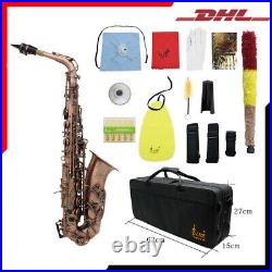 Bronze Bend Eb E-flat Alto Saxophone Sax Kit + Case Gloves Straps Brush J4U8