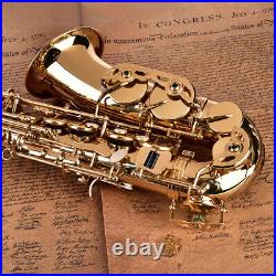 E-flat Alto Eb Saxophone Sax Brass Case Mouthpiece Care kit Accessories Quality