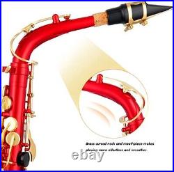 EASTROCK Alto Saxophone E Flat for Beginner Student, E Key Sax GOLD