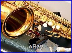 Earlham Series 2 Professional Alto Saxophone In Locking Case Excellent Condition