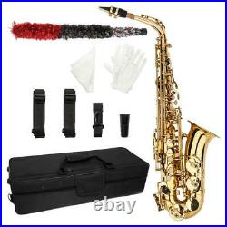 Eb Alto Sax Saxophone School Paint with Case & Accessories