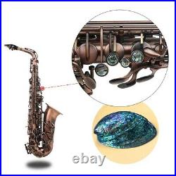 Eb Alto Saxophone E-flat Sax Red Bronze Carve Pattern Woodwind Instrument D5Q2