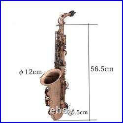 Eb Alto Saxophone Red Bronze Sax Woodwind Instrument with Carry Case Q1C1