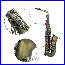 Eb E-flat Saxophone Alto Saxophone Sax Kit with Carry Bag Gloves Straps R5C8