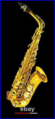 Fontaine Alto Saxophone Outfit With Hard Case And Reed FBW309 Sax