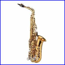 Golden Alto Saxophone Brass Eb Sax Set Woodwind Instrument with Carry Case C2H3