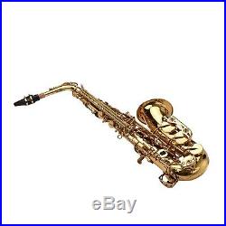 Golden Alto Saxophone Eb Sax Brass Body Woodwind Instrument with Carry Case Y9X2