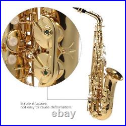 Golden Eb Alto Saxophone Sax 802 Woodwind Instrument with Carry N9R8