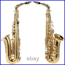 Golden Eb Alto Saxophone Sax 802 Woodwind Instrument with Carry N9R8