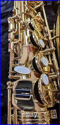 Henri Selmer Paris alto saxophone series II gold deck with suitcase + dealer warranty