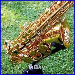 High Quality Alto Sax Saxophone + Mouthpiece + Gig Box + Cleaning Kit Gold H0S3