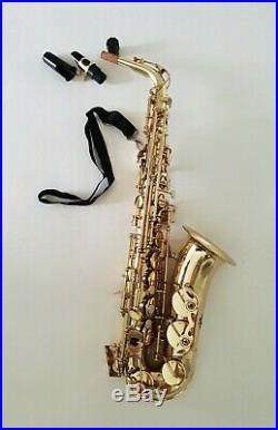 Intermusic Eb Alto Saxophone Sax Gold Finish Outfit with Hard Carry Case B Stock