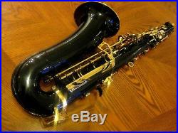 L. A. Sax Professional Alto Saxophone with Selmer C Star Mouthpiece, MSRP $2695