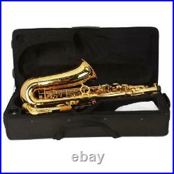 New Eb Alto Sax Saxophone School Student with Case & Accessories Golden Paint