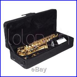 New Professional Eb Alto Sax Saxophone Paint Gold with Case and Accessories Pro