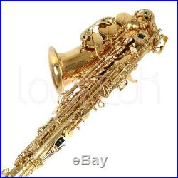 New Professional Eb Alto Sax Saxophone Paint Gold with Case and Accessories Pro